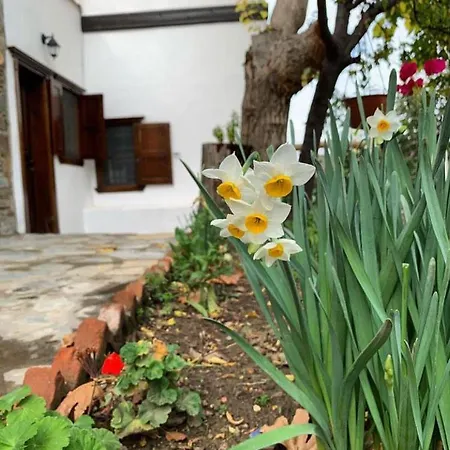 Hotel Adissa Butik Selçuk