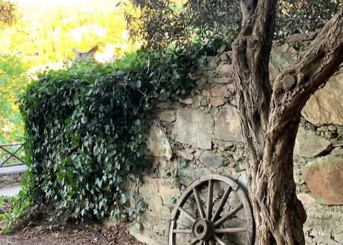 Otel Adissa Butik Selçuk