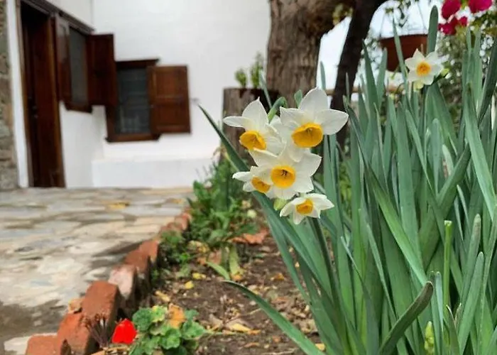 Otel Adissa Butik Selçuk